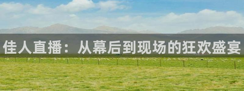 24直播网篮球免费直播：佳人直播：从幕后到现场的狂欢盛宴